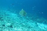 Curacao 04-12 589